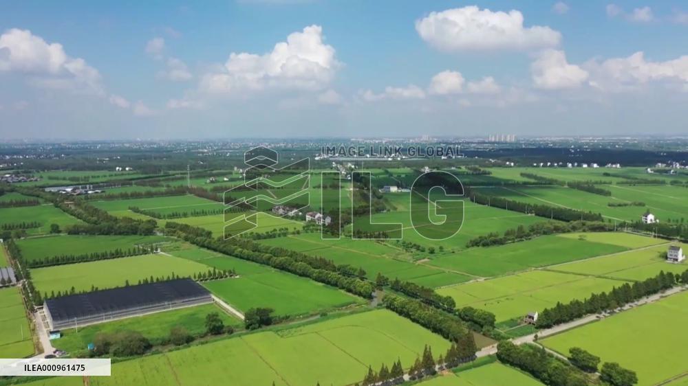 Shanghai makes all-out efforts to ensure spring farming amid COVID-19 fight