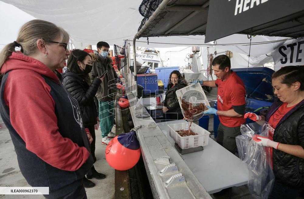 CANADA-BRITISH COLUMBIA-RICHMOND-SPOT PRAWN SEASON