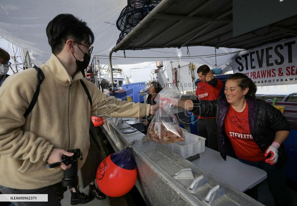 CANADA-BRITISH COLUMBIA-RICHMOND-SPOT PRAWN SEASON