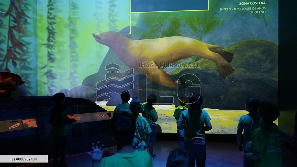 U.S.-LOS ANGELES-UNDERWATER-EXHIBITION