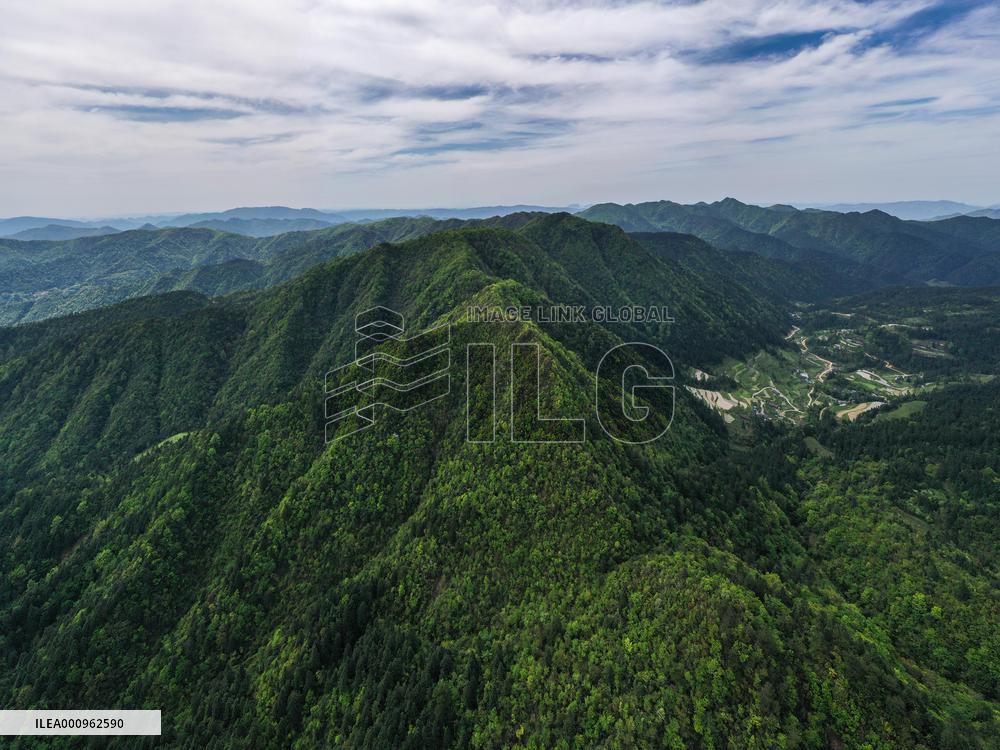 CHINA-GUIZHOU-TONGREN-MOUNT FANJING-SCENERY (CN)