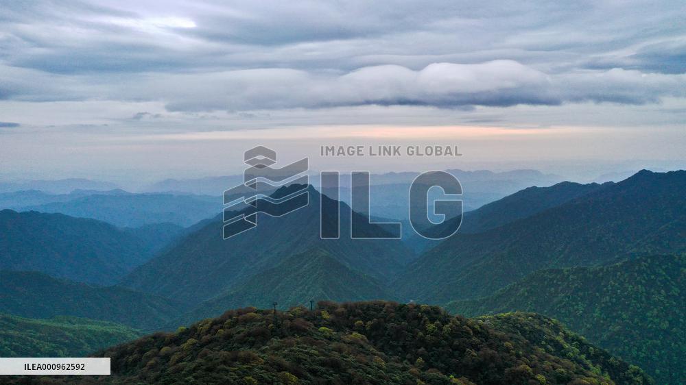CHINA-GUIZHOU-TONGREN-MOUNT FANJING-SCENERY (CN)