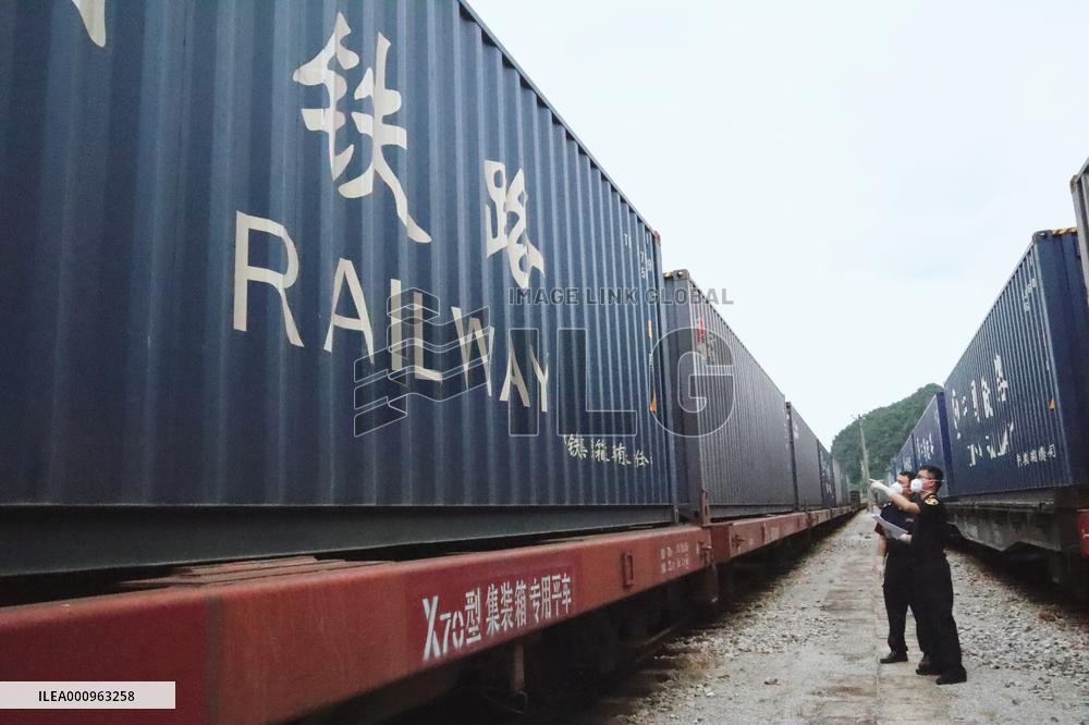 CHINA-GUANGXI-ASEAN-TCM-TRAIN-ARRIVAL (CN)