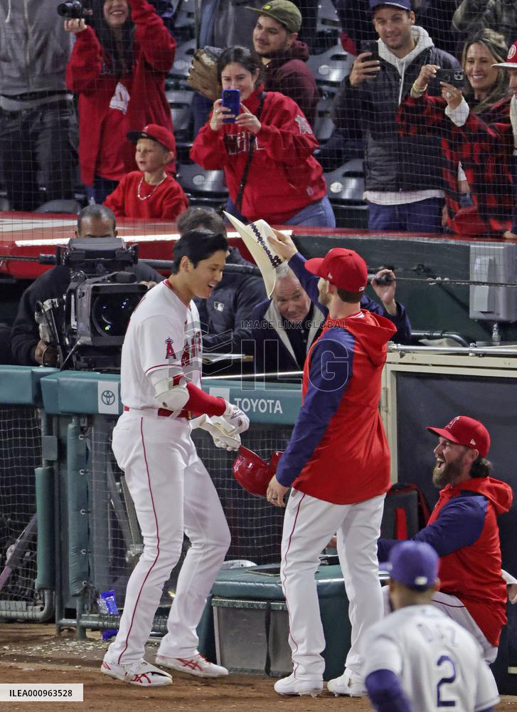Baseball: Rays vs. Angels