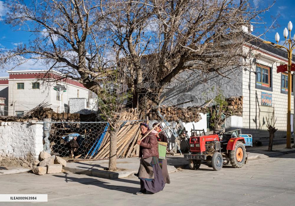 CHINA-TIBET-TINGRI-SPRING-FARMING (CN)
