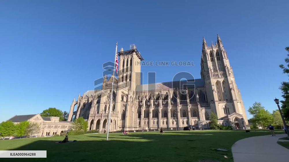 U.S. negligence leads to mounting COVID-19 death toll, says analyst