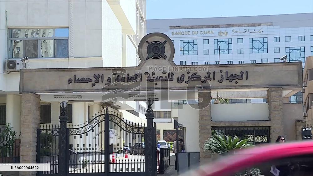 Egypt's imports from eastern, southern African countries declined in Dec 2021: bulletin