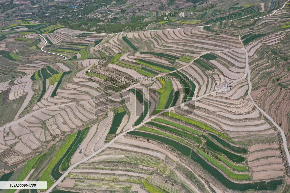 CHINA-GANSU-TIANSHUI-ABANDONED FARMLAND-RECLAMATION (CN)
