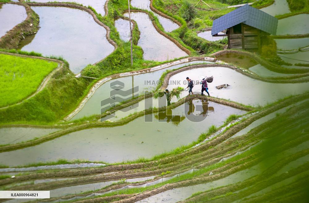 #CHINA-SUMMER-FARMING (CN)