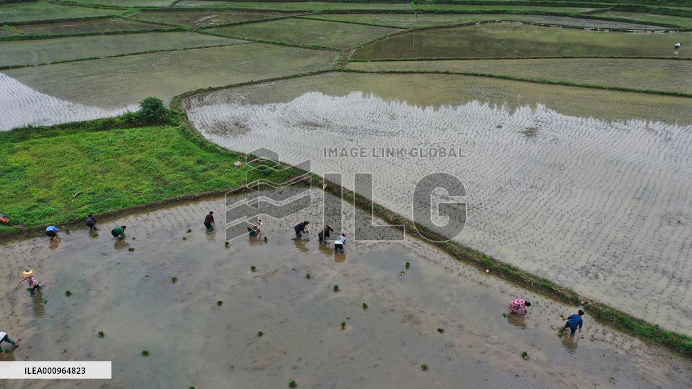 #CHINA-SUMMER-FARMING (CN)