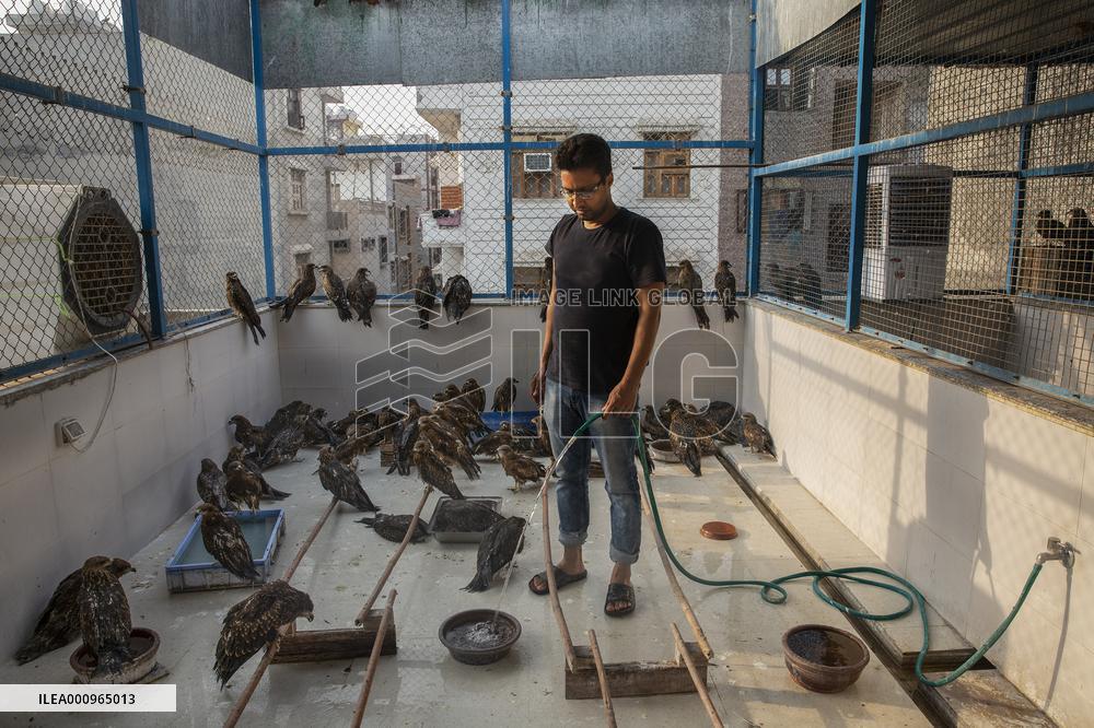 INDIA-NEW DELHI-BIRD RESCUERS