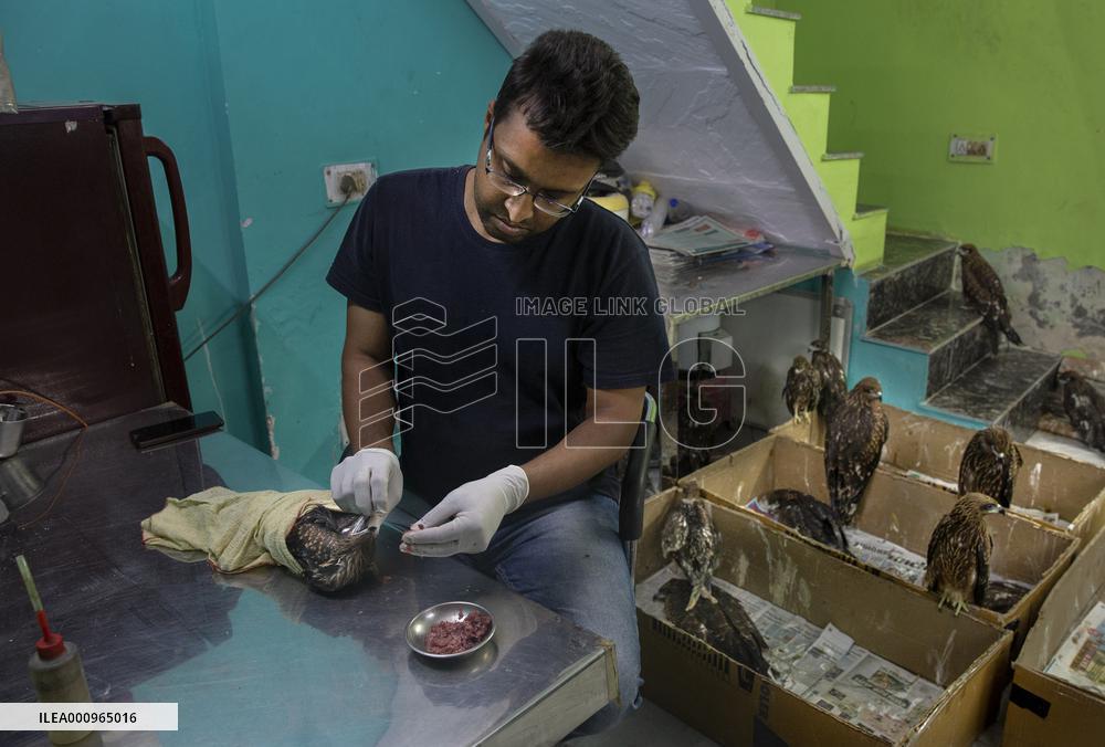 INDIA-NEW DELHI-BIRD RESCUERS
