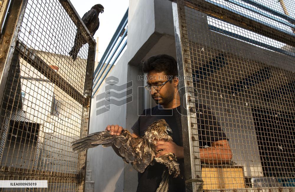 INDIA-NEW DELHI-BIRD RESCUERS