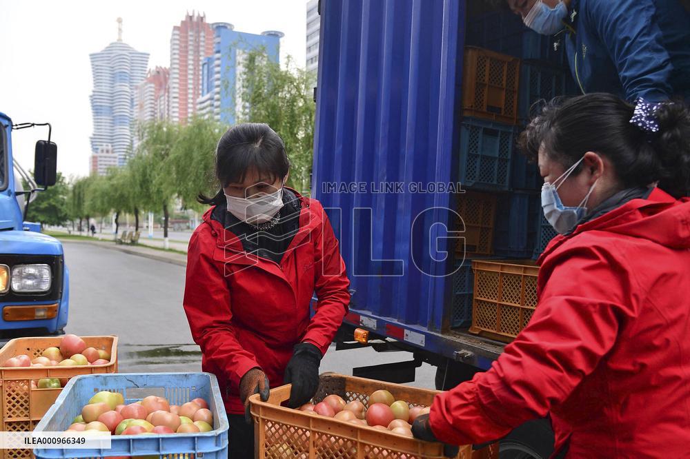 COVID fears in N. Korea