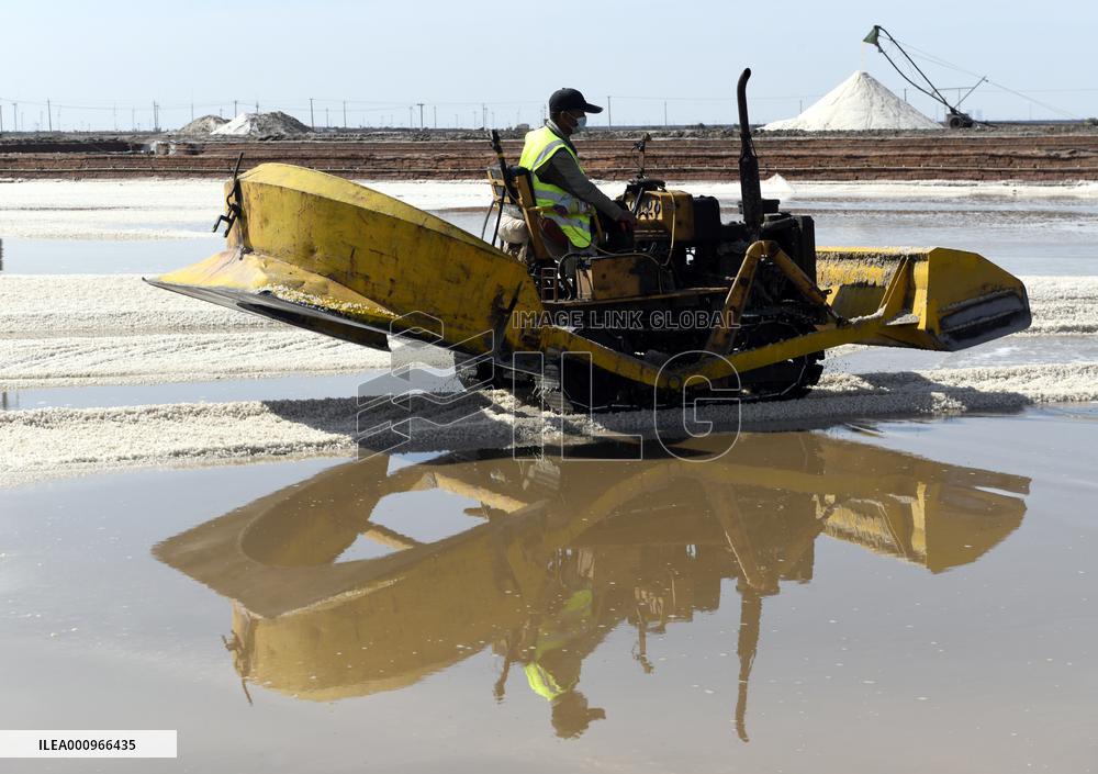 CHINA-SHANDONG-ZHANHUA-SALT-HARVEST (CN)