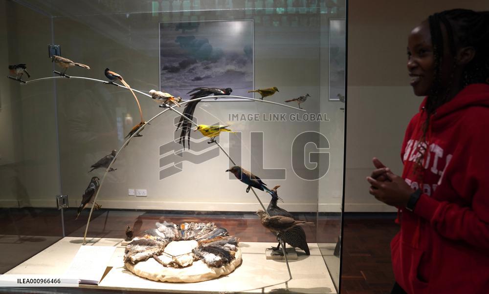 KENYA-NAIROBI-KENYA NATIONAL MUSEUM