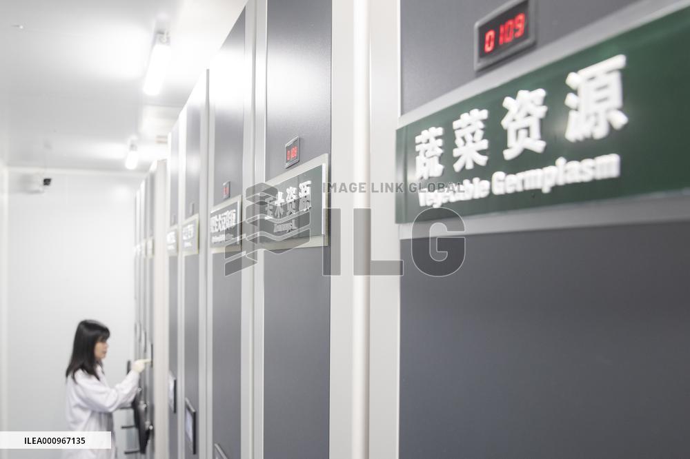 CHINA-HEILONGJIANG-SEED BANK-COLD-REGION CROPS-EXPANSION (CN)