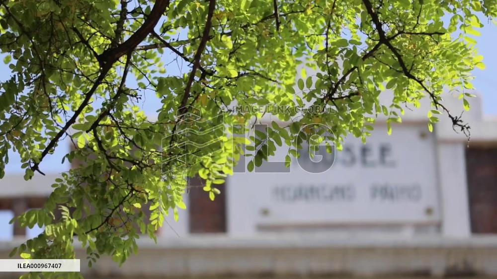 A century-old museum documents specimens, history