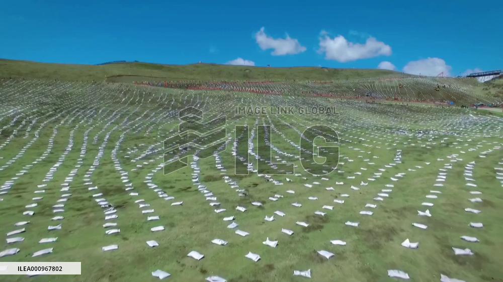 GLOBALink | Ecological restoration beautifies upper reaches of Yellow River