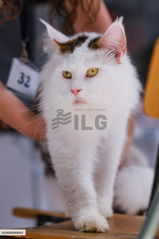 CROATIA-ZAGREB-INT'L CAT SHOW