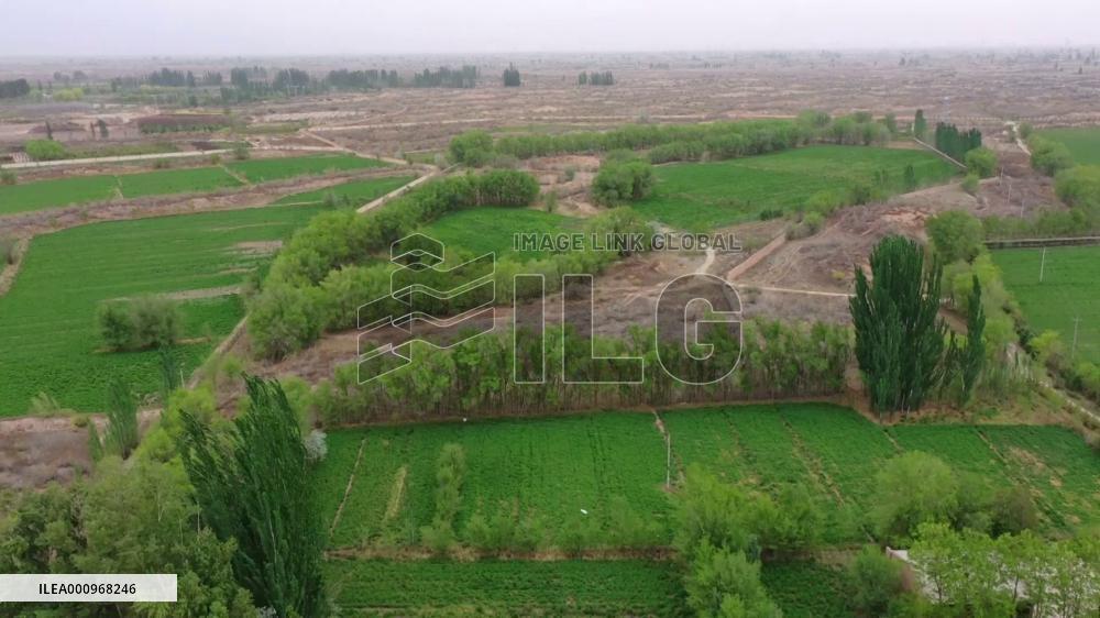 Endangered wildlife rescued by protection center in Wuwei, China