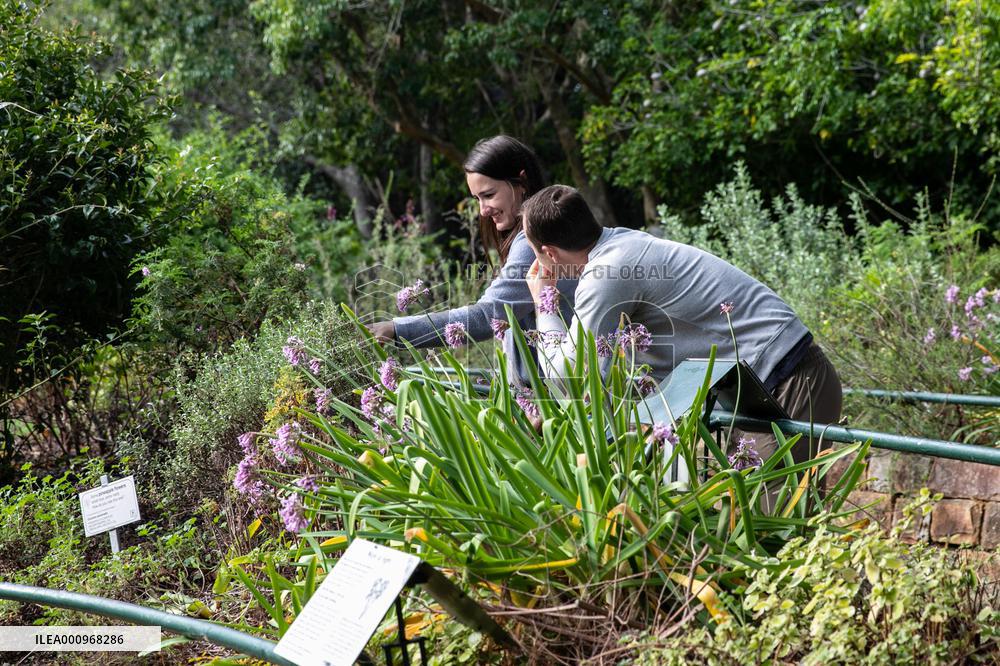 SOUTH AFRICA-CAPE TOWN-BIODIVERSITY