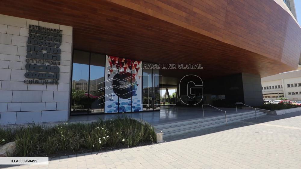 A visit to Israel's Steinhardt Museum of Natural History