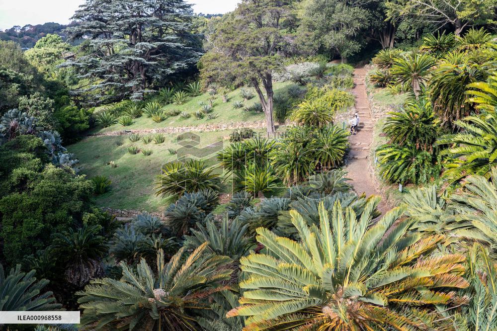 SOUTH AFRICA-CAPE TOWN-BIODIVERSITY