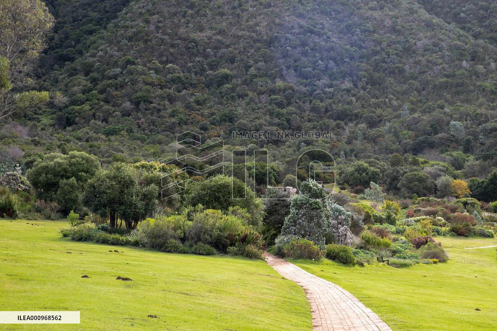 SOUTH AFRICA-CAPE TOWN-BIODIVERSITY
