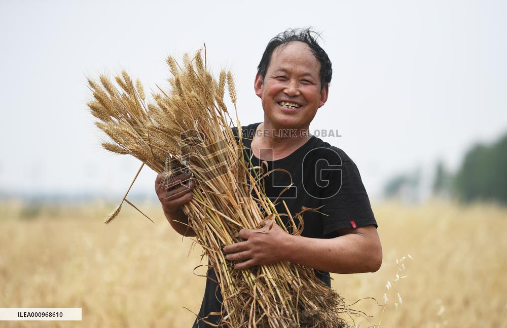 CHINA-HENAN-WHEAT-HARVEST (CN)