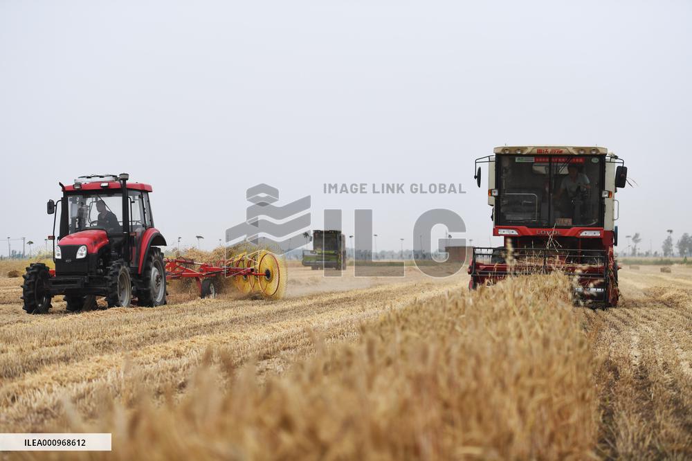 CHINA-HENAN-WHEAT-HARVEST (CN)