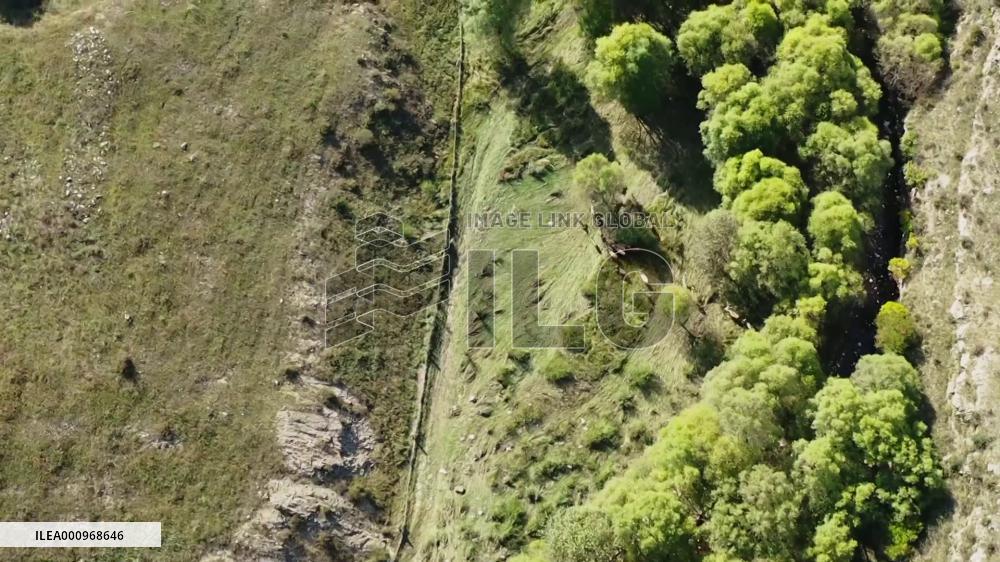 9 milu deer fawns born in China's Inner Mongolia