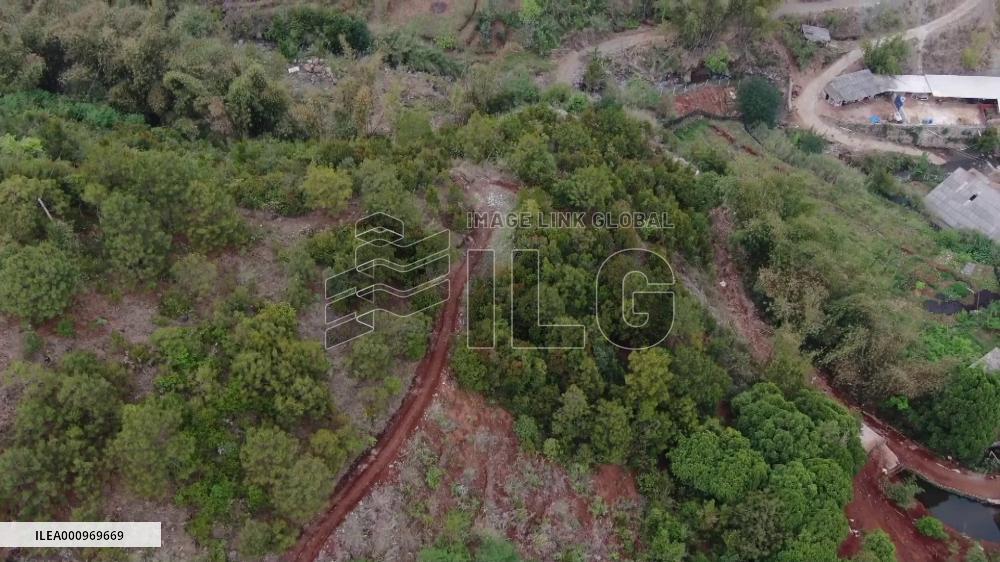 Wild elephants' epic journey in China | Stories shared by Xi Jinping