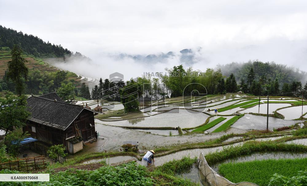 CHINA-HUNAN-ZIQUEJIE TERRACES-LANDSCAPE (CN)