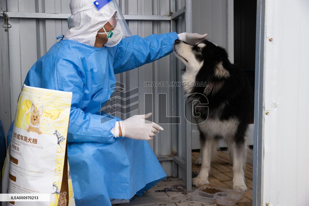 CHINA-SHANGHAI-COVID-19-PETS-CARE (CN)