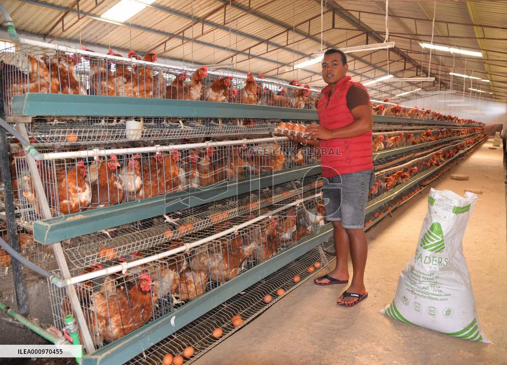 MADAGASCAR-ANTANANARIVO-ECONOMY-CHINA-BUILT-EGG ROAD