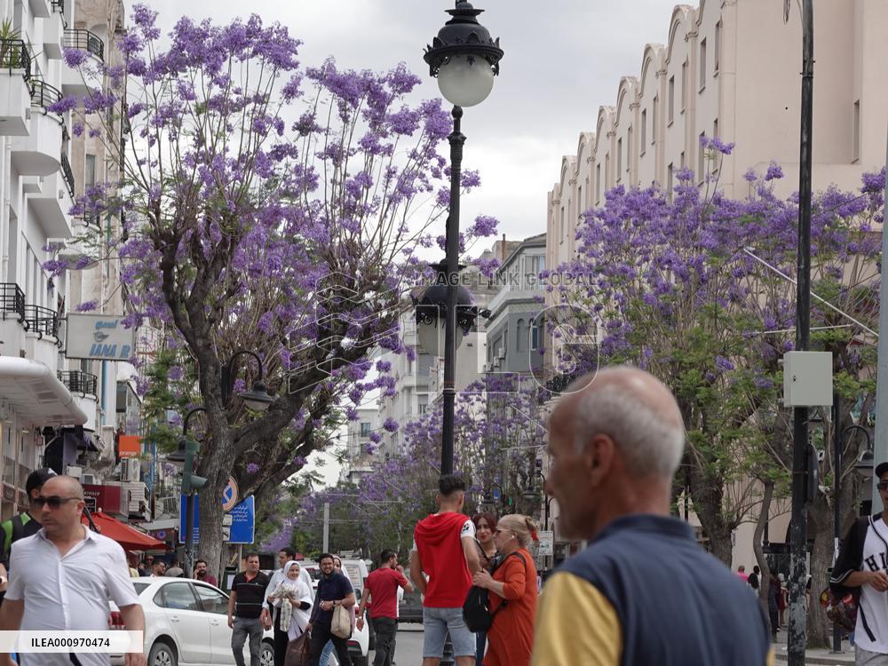 TUNISIA-TUNIS-COVID-19-TOURISM RECOVERY