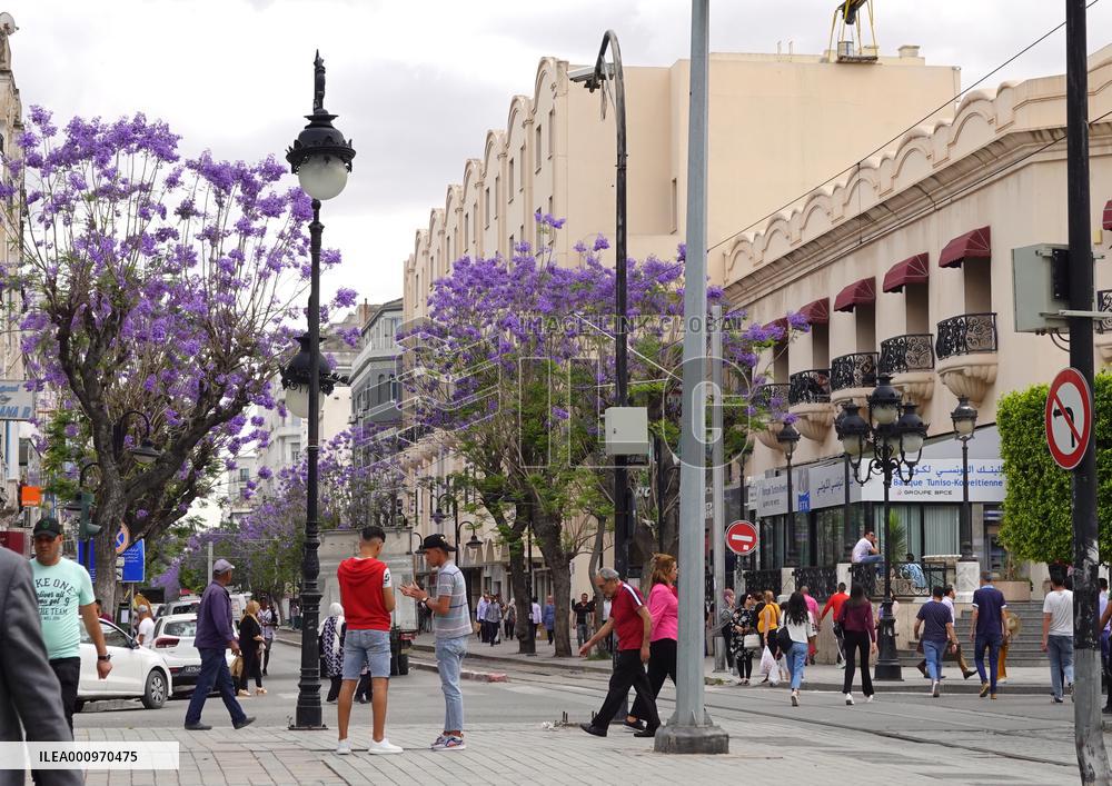 TUNISIA-TUNIS-COVID-19-TOURISM RECOVERY