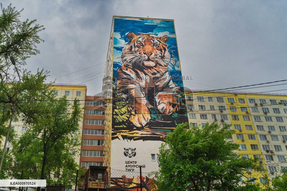 RUSSIA-VLADIVOSTOK-TIGER ELEMENTS