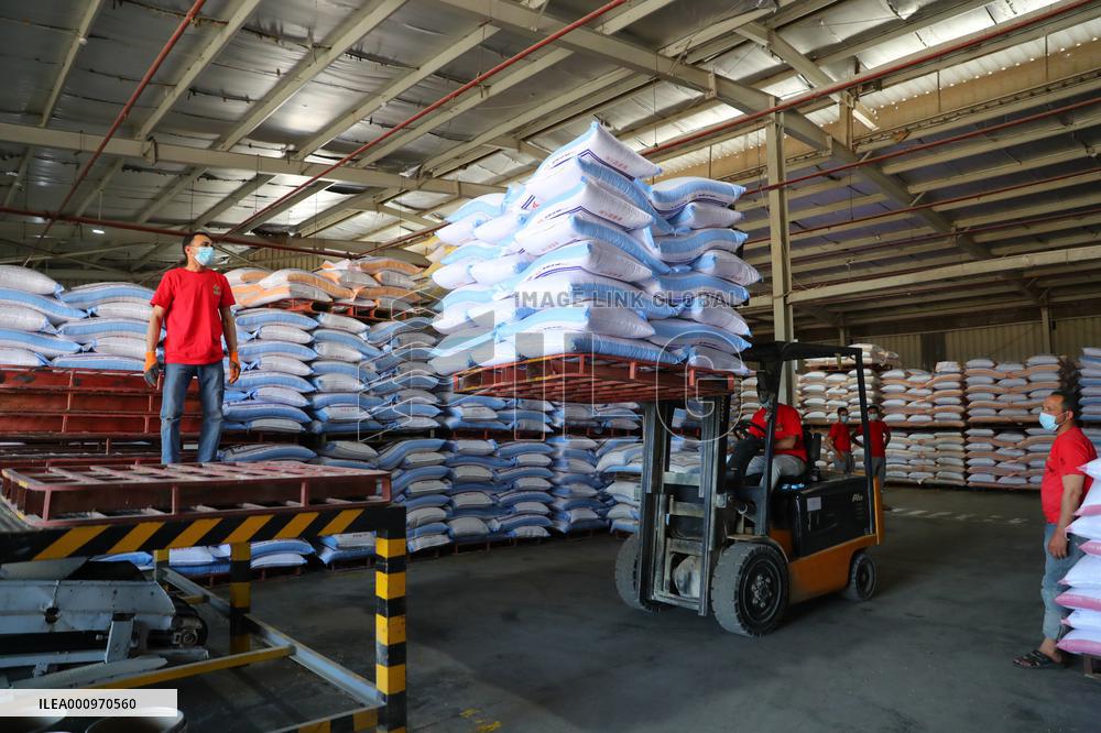 EGYPT-MENOUFIA-ANIMAL FARMING-CHINESE COMPANY-"NEW HOPE"