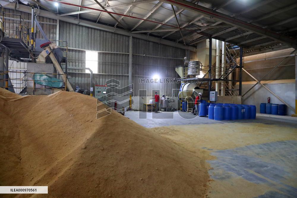 EGYPT-MENOUFIA-ANIMAL FARMING-CHINESE COMPANY-"NEW HOPE"