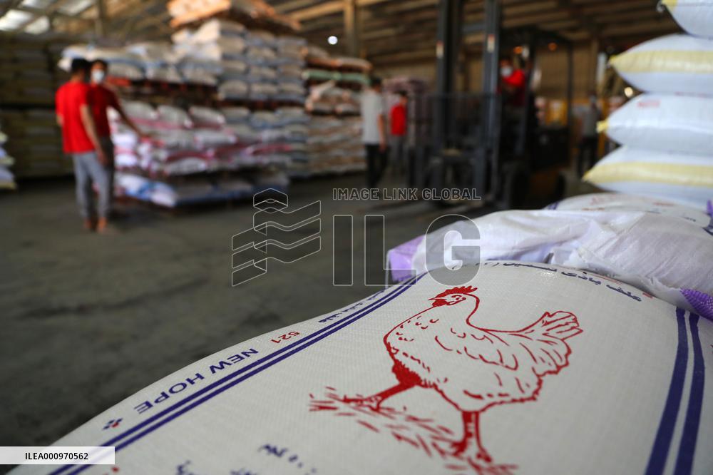 EGYPT-MENOUFIA-ANIMAL FARMING-CHINESE COMPANY-"NEW HOPE"