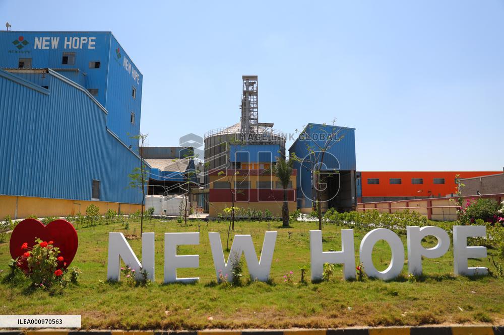 EGYPT-MENOUFIA-ANIMAL FARMING-CHINESE COMPANY-"NEW HOPE"