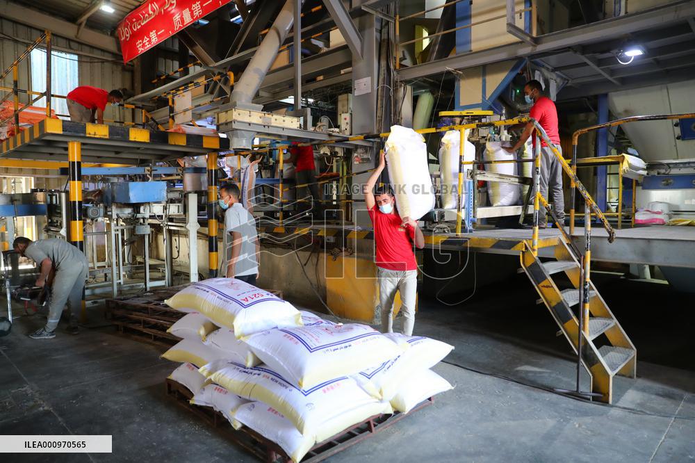 EGYPT-MENOUFIA-ANIMAL FARMING-CHINESE COMPANY-"NEW HOPE"