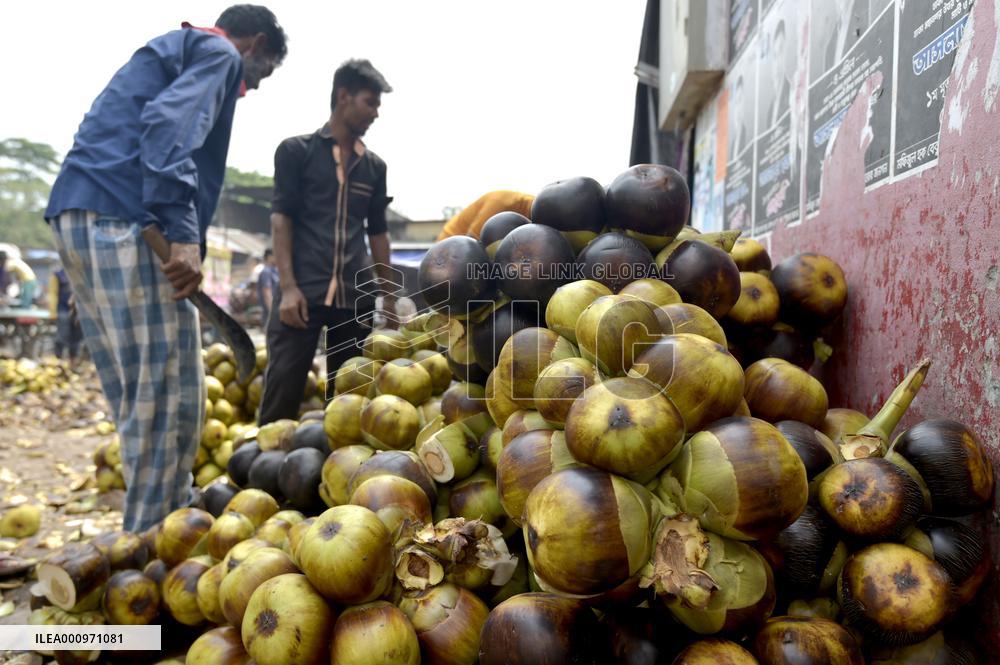 BANGLADESH-DHAKA-PALMYRA PALM FRUITS-HARVEST