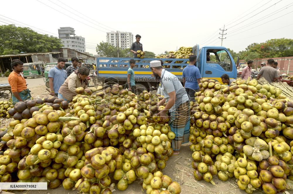 BANGLADESH-DHAKA-PALMYRA PALM FRUITS-HARVEST