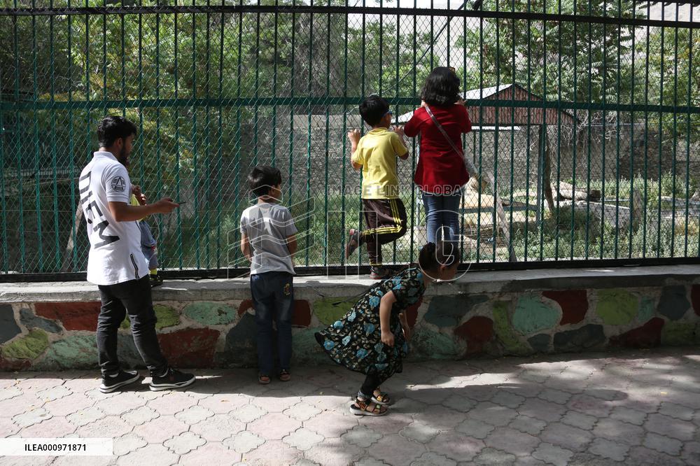 AFGHANISTAN-KABUL-ZOO