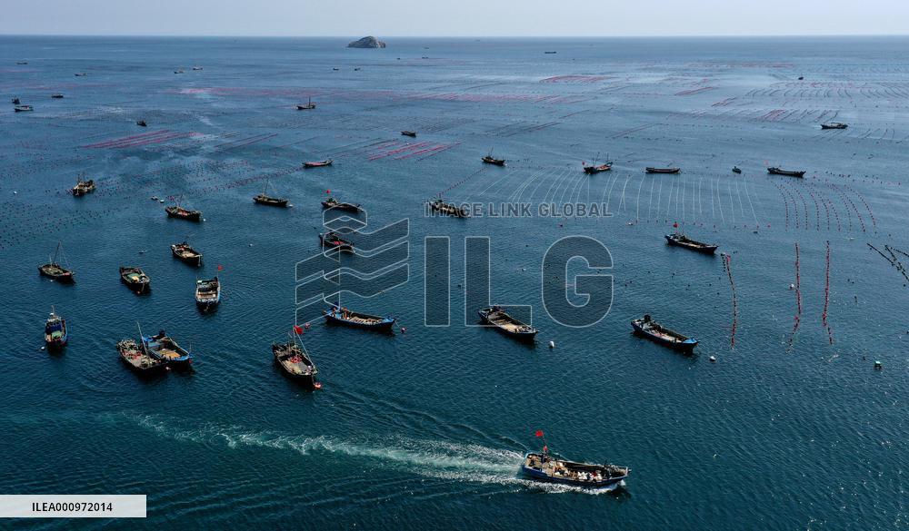 CHINA-LIAONING-CHANGHAI-MARINE RANCH (CN)