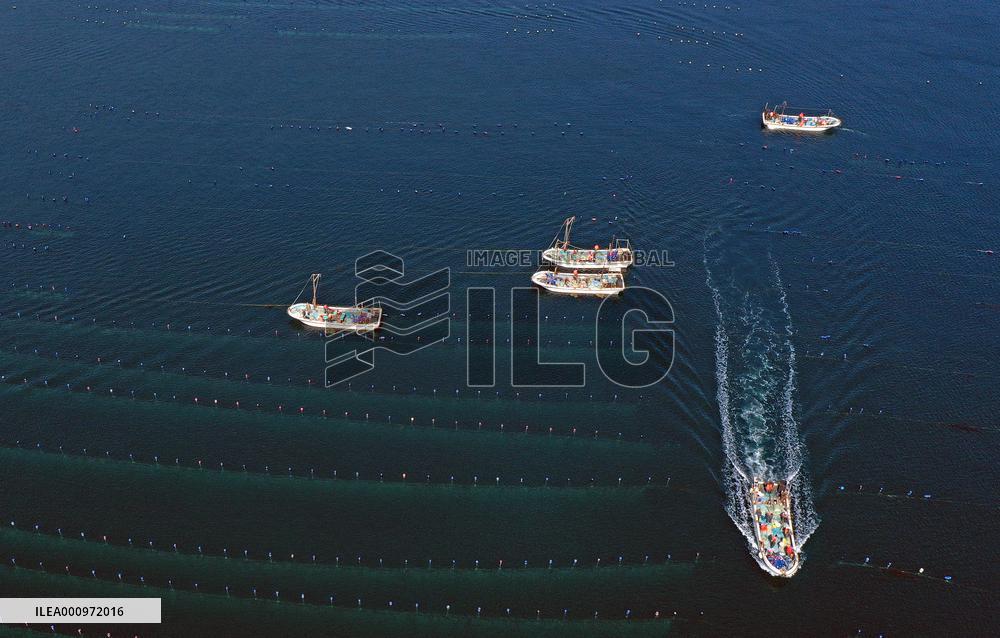 CHINA-LIAONING-CHANGHAI-MARINE RANCH (CN)