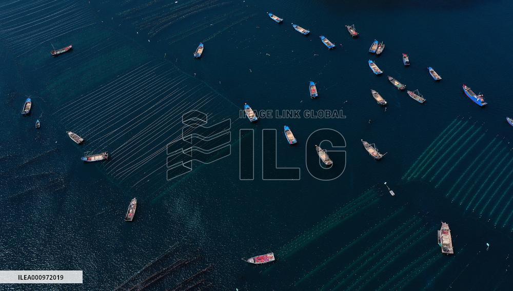 CHINA-LIAONING-CHANGHAI-MARINE RANCH (CN)